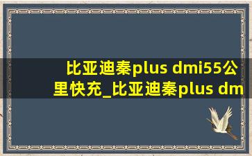 比亚迪秦plus dmi55公里快充_比亚迪秦plus dmi55公里充电功率